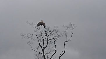 レイクサイドとうろに投稿された画像（2017/8/19）