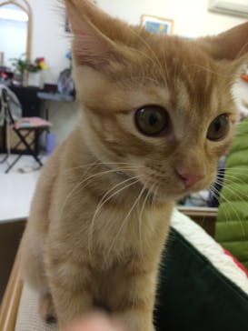 Memories Master SAKURA（メモリーズマスターサクラ）に投稿された画像（2015/10/8）