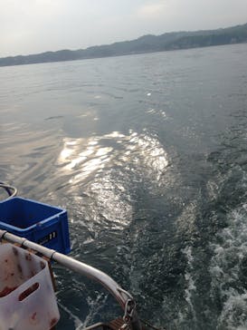 With Ocean（ウィズオーシャン）に投稿された画像（2016/5/29）