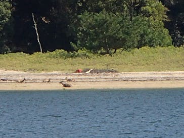 TEAM NARU（チームナルー）に投稿された画像（2015/9/19）