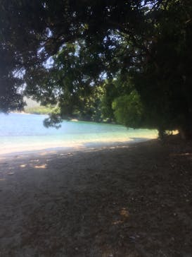 TEAM NARU（チームナルー）に投稿された画像（2017/5/28）