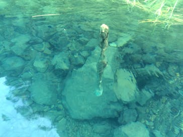 本栖湖アクティビティセンターに投稿された画像（2015/10/5）