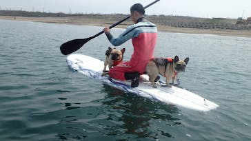 DAIGOに投稿された画像（2016/5/2）