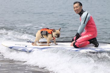 DAIGOに投稿された画像（2016/5/2）