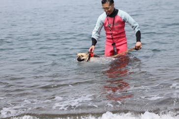 DAIGOに投稿された画像（2016/5/2）