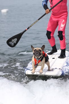 DAIGOに投稿された画像（2016/5/2）