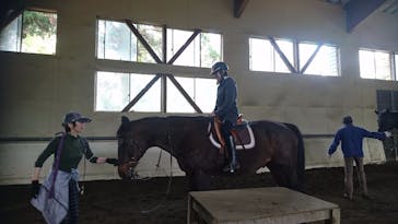 乗馬倶楽部 パ・ドゥドゥに投稿された画像（2017/4/30）