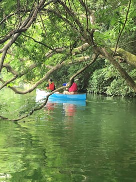カヌーリゾートたまよどに投稿された画像（2017/7/17）