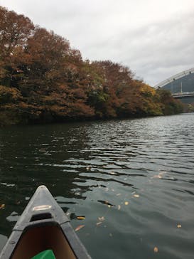 カヌーリゾートたまよどに投稿された画像（2016/11/20）