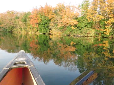 カヌーリゾートたまよどに投稿された画像（2017/1/7）