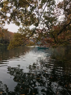 カヌーリゾートたまよどに投稿された画像（2016/11/20）