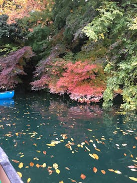 カヌーリゾートたまよどに投稿された画像（2016/11/20）