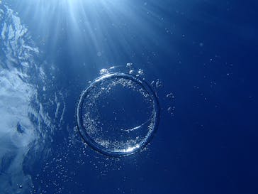 沖縄マリンクラブ結に投稿された画像（2017/8/28）