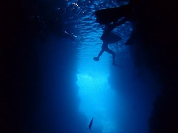 沖縄マリンクラブ結に投稿された画像（2017/9/8）