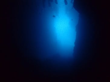 沖縄マリンクラブ結に投稿された画像（2017/8/28）