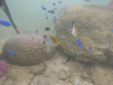 沖縄マリンクラブ結に投稿された画像（2016/8/9）