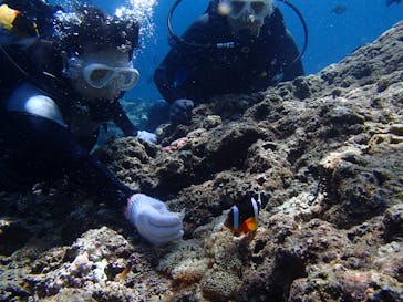 沖縄マリンクラブ結に投稿された画像（2017/8/27）