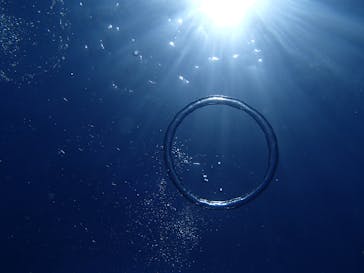 沖縄マリンクラブ結に投稿された画像（2017/8/16）