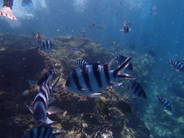 沖縄マリンクラブ結に投稿された画像（2017/9/6）