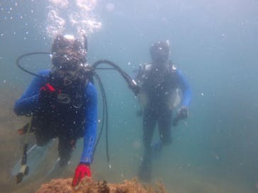 【契約解除】ハイタイドスクーバに投稿された画像（2016/7/29）