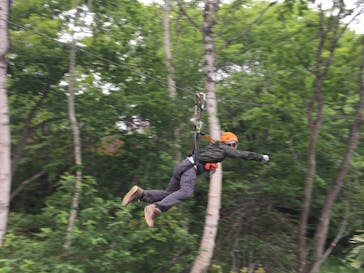 ジップラインアドベンチャー 斑尾高原に投稿された画像（2015/7/18）