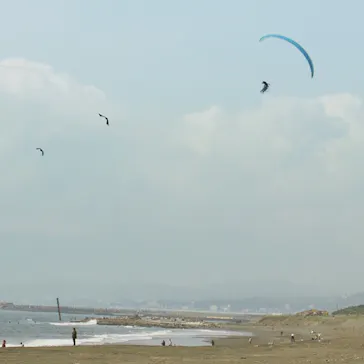 フライトサービス 湘南に投稿された画像（2016/4/10）