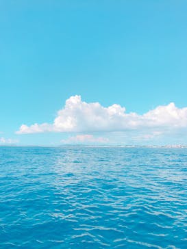 CoCoMarin（ココマリン）に投稿された画像（2017/8/17）