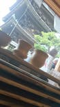 瑞光窯（ずいこうがま）京都清水店に投稿された画像（2017/5/1）