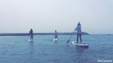 TOMO's スタンドアップパドルボーディングスクールに投稿された画像（2016/7/2）