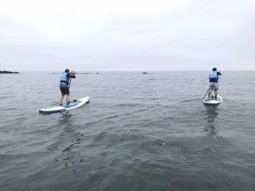 TOMO's スタンドアップパドルボーディングスクールに投稿された画像（2017/8/15）