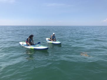 TOMO's スタンドアップパドルボーディングスクールに投稿された画像（2017/8/13）