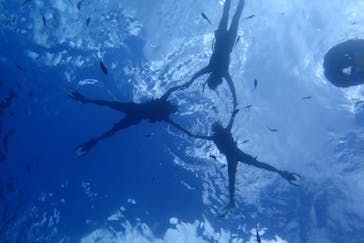 B-nature（ビーネイチャー）に投稿された画像（2017/8/27）