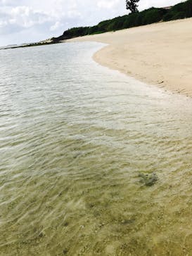 B-nature（ビーネイチャー）に投稿された画像（2017/8/22）