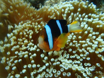 B-nature（ビーネイチャー）に投稿された画像（2016/5/20）