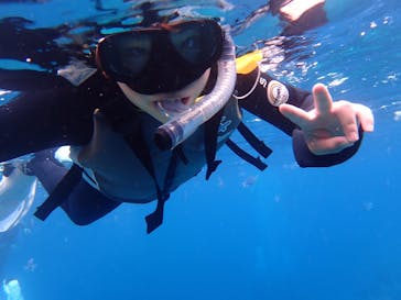 B-nature（ビーネイチャー）に投稿された画像（2016/5/20）