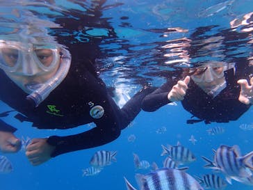 B-nature（ビーネイチャー）に投稿された画像（2016/5/20）