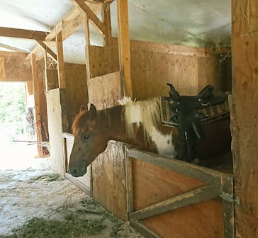 TANIMOTO HORSE RANCH（タニモトホースランチ）に投稿された画像（2017/9/2）