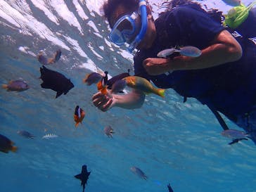 Cosmic Ocean（コズミックオーシャン）に投稿された画像（2017/8/22）