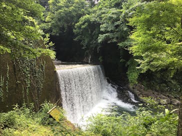 かやぶきの郷 薬師温泉 旅籠（はたご）に投稿された画像（2017/8/13）