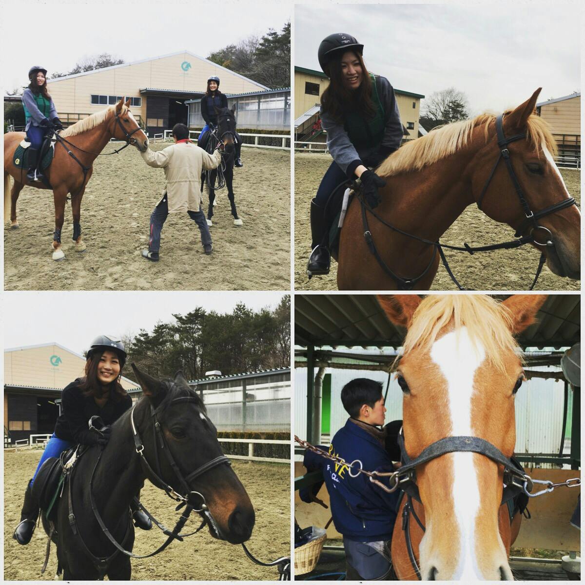 乗馬クラブ・クレインオリンピックパーク/口コミ一覧|アソビュー!