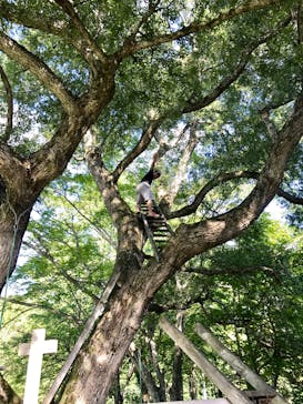裏磐梯もくもく自然塾に投稿された画像（2017/9/11）