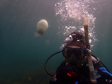 Diving Schoolテールアップ 福岡天神に投稿された画像（2017/7/29）