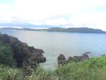 アマミエンシスに投稿された画像（2016/6/30）