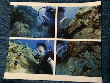 アマミエンシスに投稿された画像（2016/6/30）