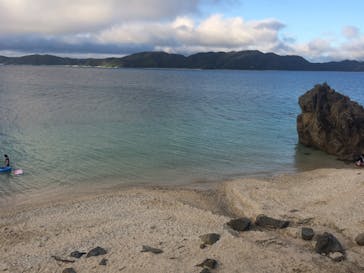 アマミエンシスに投稿された画像（2016/6/30）