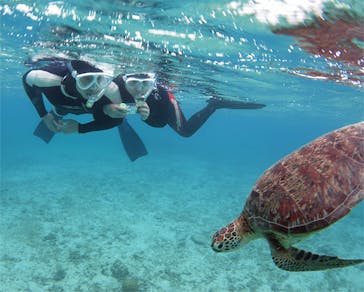 アマミエンシスに投稿された画像（2017/4/21）