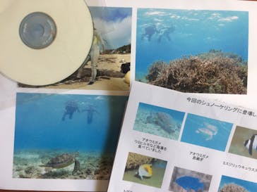 アマミエンシスに投稿された画像（2017/4/19）