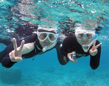 アマミエンシスに投稿された画像（2017/4/21）