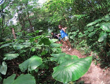 アマミエンシスに投稿された画像（2017/4/28）
