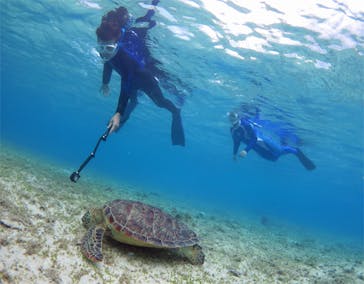 アマミエンシスに投稿された画像（2017/8/29）